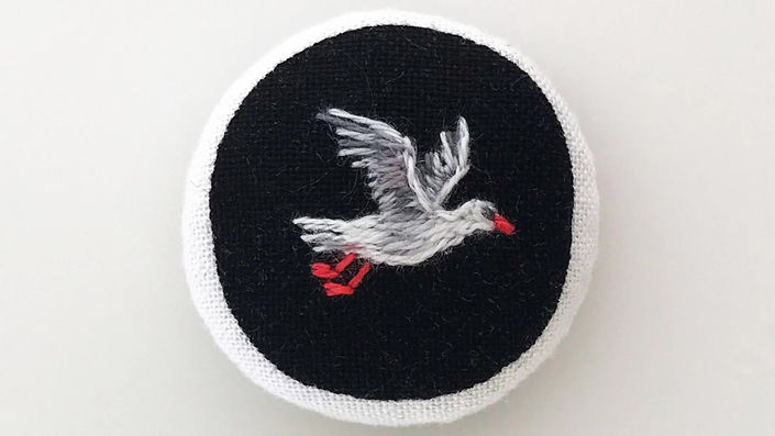 Seagull Flight Cycle - 2019